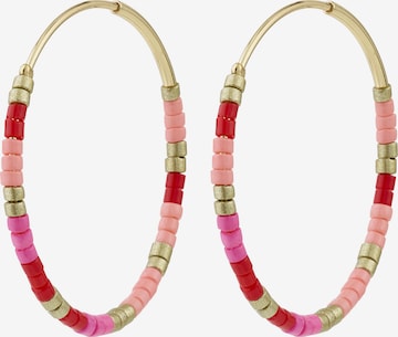 auksinė Pilgrim Auskarai 'Alison': priekis