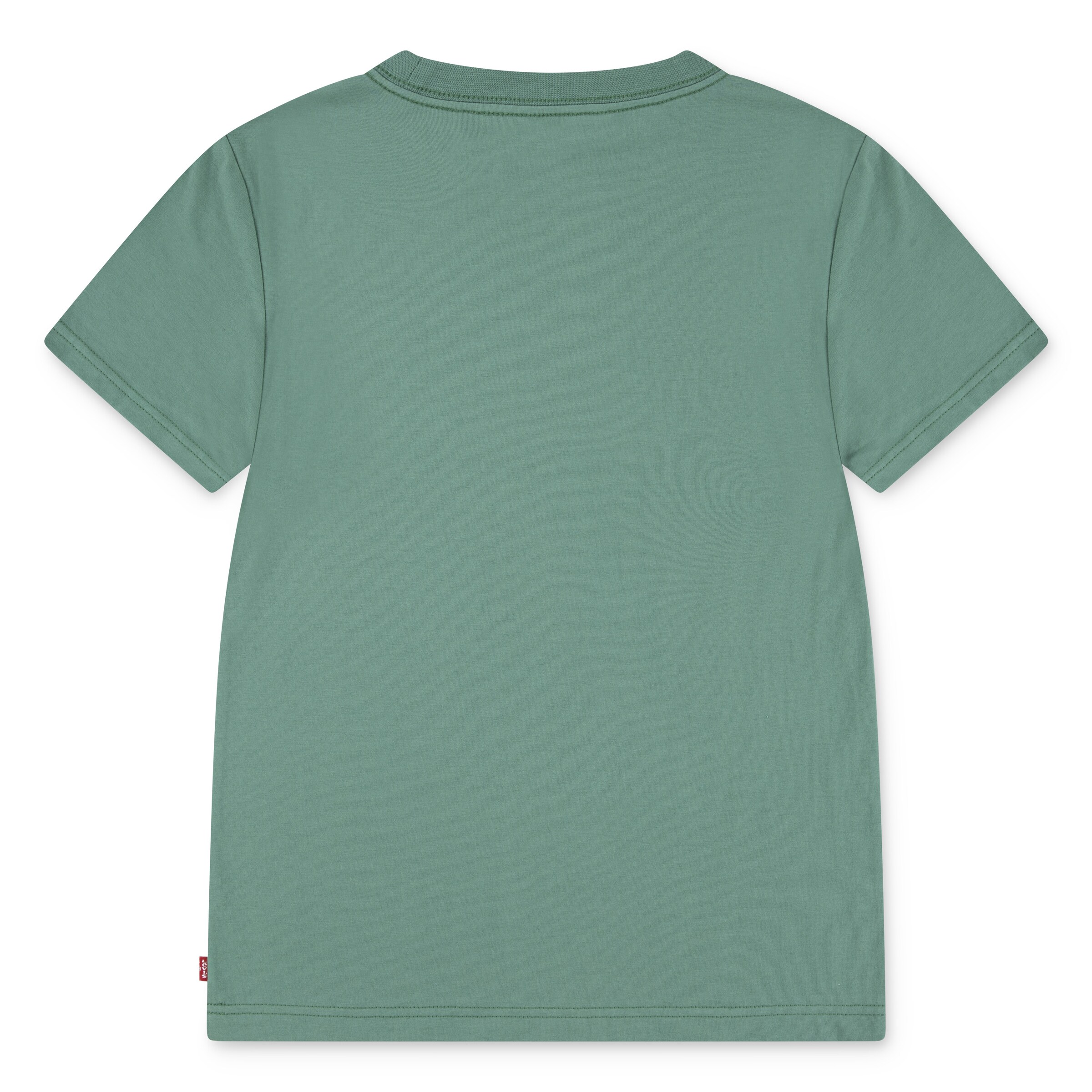 Levi's Kids Shirt in Green