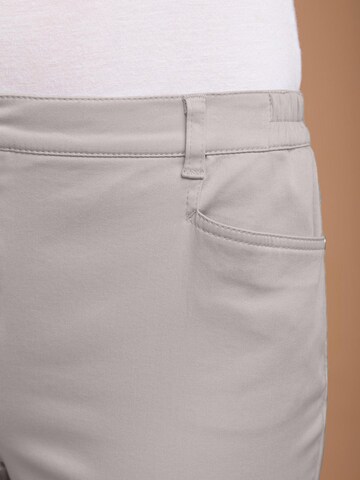 Goldner Regular Trousers in Beige