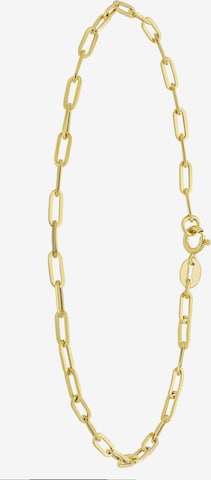 Lucardi Bracelet 'Klassisch' in Gold: front