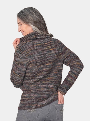 Pull-over Goldner en marron