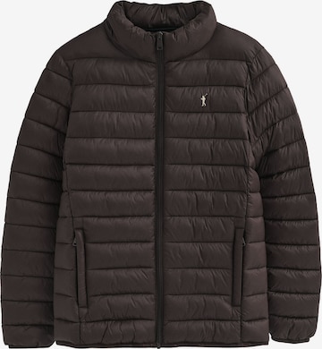 Polo Club Winter Jacket in Brown: front