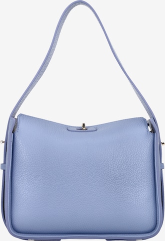 zils faina Rokassomiņa: no priekšpuses