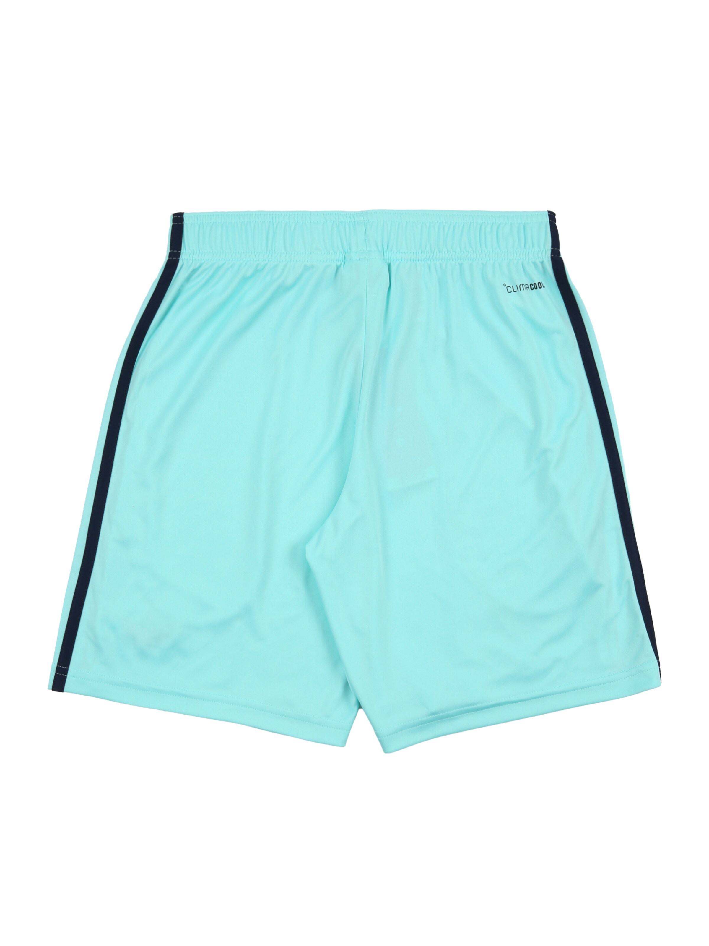 ADIDAS PERFORMANCE Štandardný strih Športové nohavice 'Germany 26 Away Kids' - Modrá