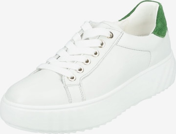 Sneaker bassa di ARA in bianco: frontale