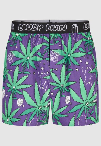 Lousy Livin Boxershorts 'Outer Weedy' in Grün