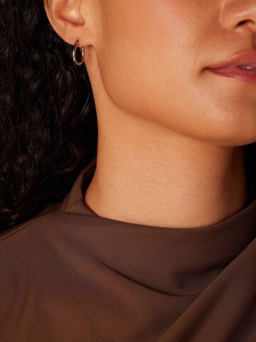 Boucles d'oreilles Lucardi en argent