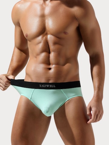 TAUWELL Slip in Grün: Vorderseite