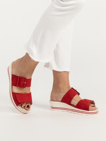 Zoccoletto di VITAFORM in rosso
