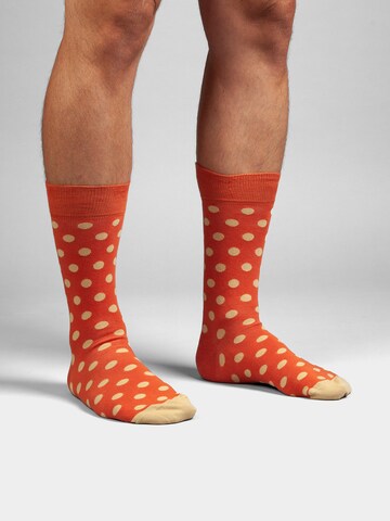 DillySocks Socken in Mischfarben: Vorderseite