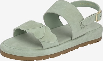 Crickit Sandals 'JULINA ' in Green: front