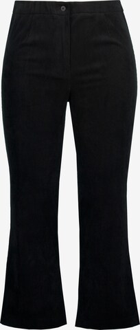 Studio Untold Flared Pants in Black: front