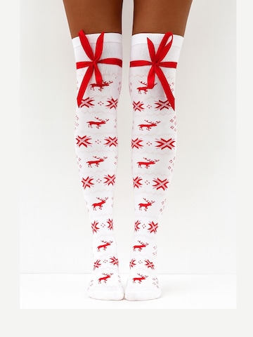 Lycille Over the Knee Socks in White: front