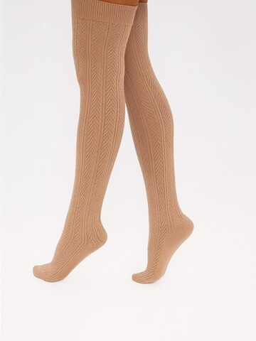 Lycille Over the Knee Socks 'Lycille' in Beige