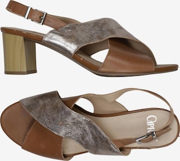CAPRICE Sandals & High-Heeled Sandals in 40,5 in Mixed colors: front