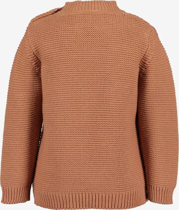 BLUE SEVEN Pullover i brun