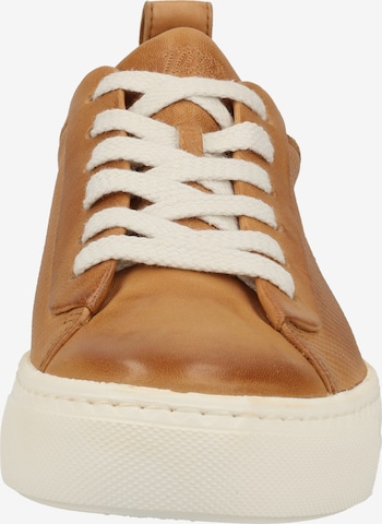 Paul Green Sneakers in Brown