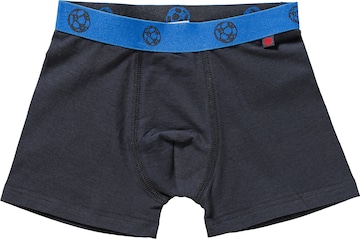 SANETTA Boxershorts in Blau