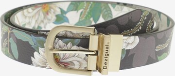 Desigual Belt in One size in Mixed colors: front