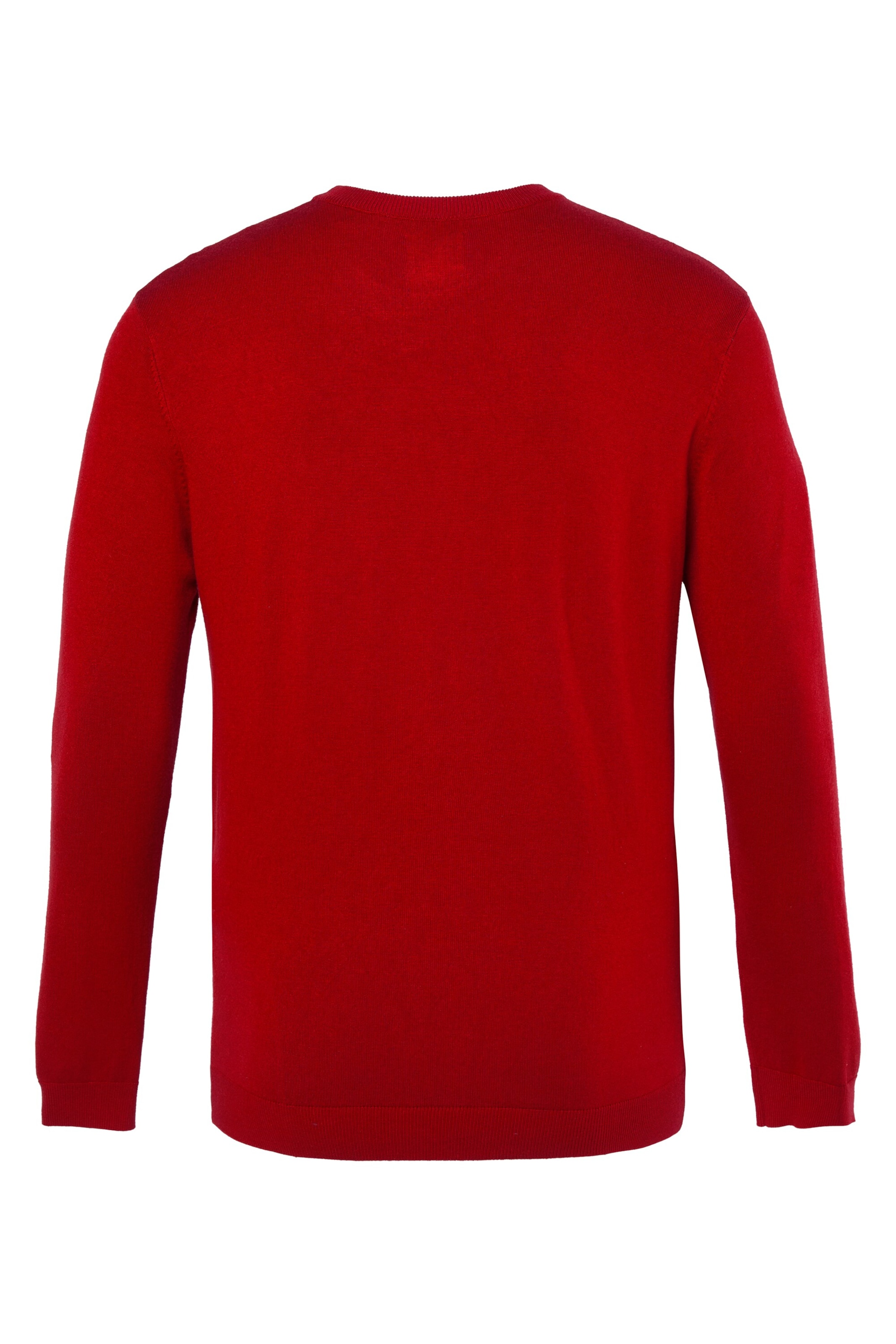 Men Plus Pullover in Rot