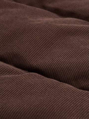 TOM TAILOR Winterjas in Bruin