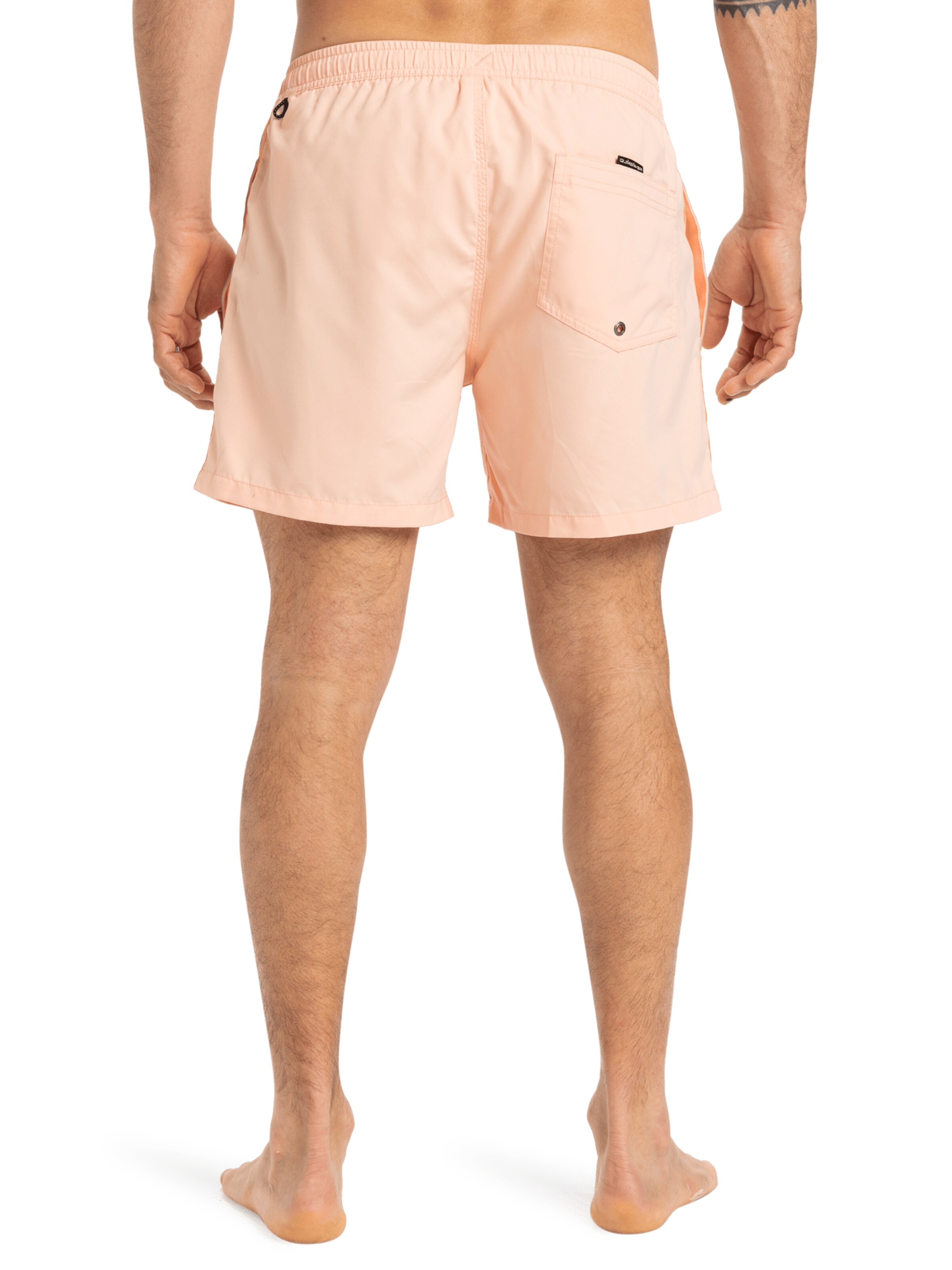 QUIKSILVER Regular Board Shorts 'Everyday Beach 15' in Beige