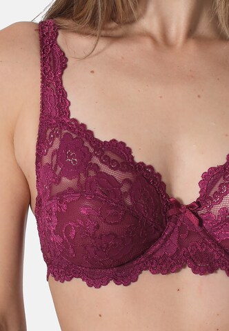 sassa Triangle Bra 'Sassa CLASSIC LACE' in Red