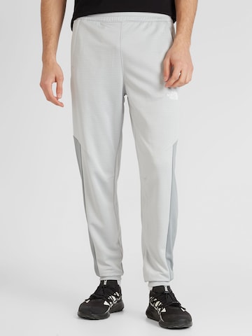 Effilé Pantalon de sport THE NORTH FACE en gris : devant