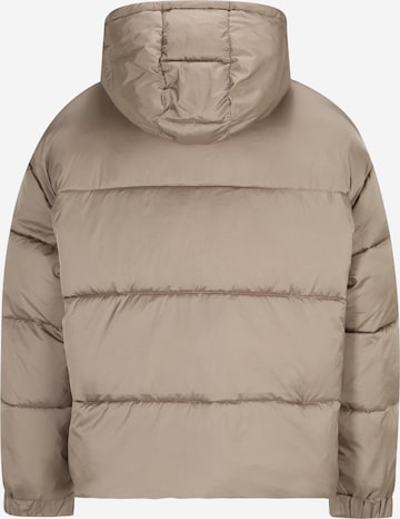 Calvin Klein Jeans Winter Jacket in Beige