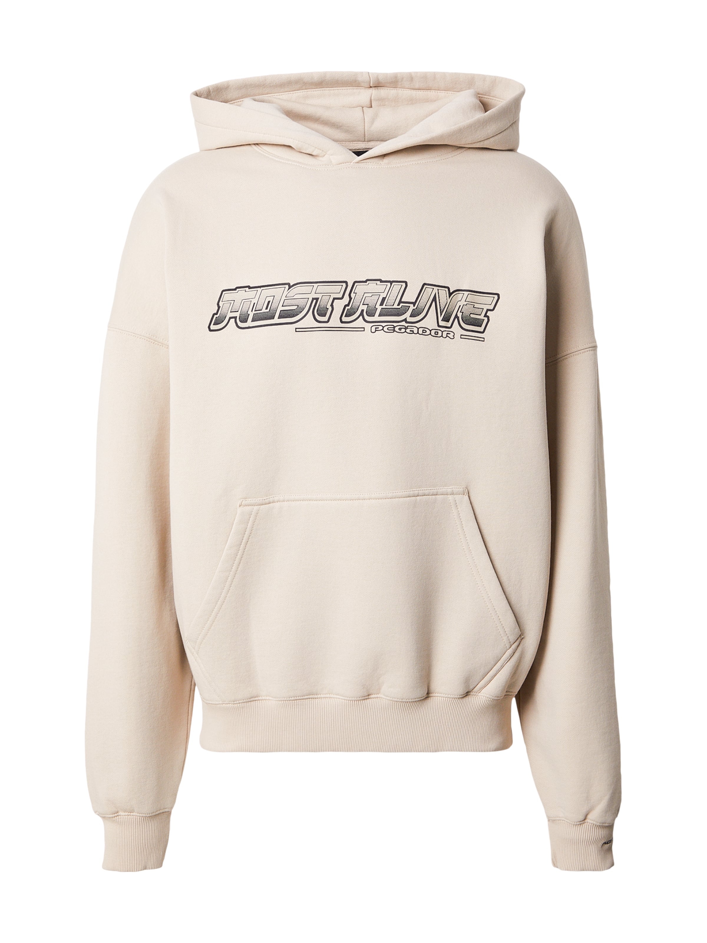 Pegador - Sweatshirt 'Enrith' em bege: frente