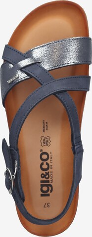 IGI&CO Strap Sandals in Blue