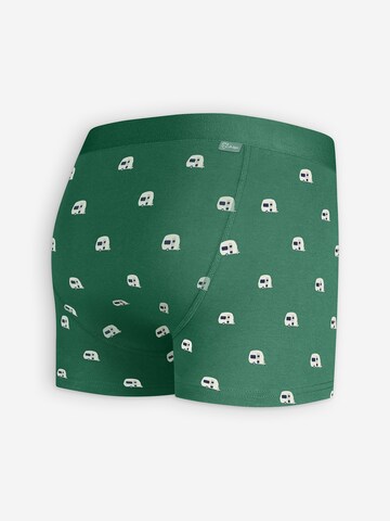 Boxers A-dam en vert