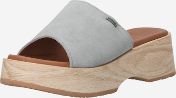 SHABBIES AMSTERDAM Mules in Grey: front
