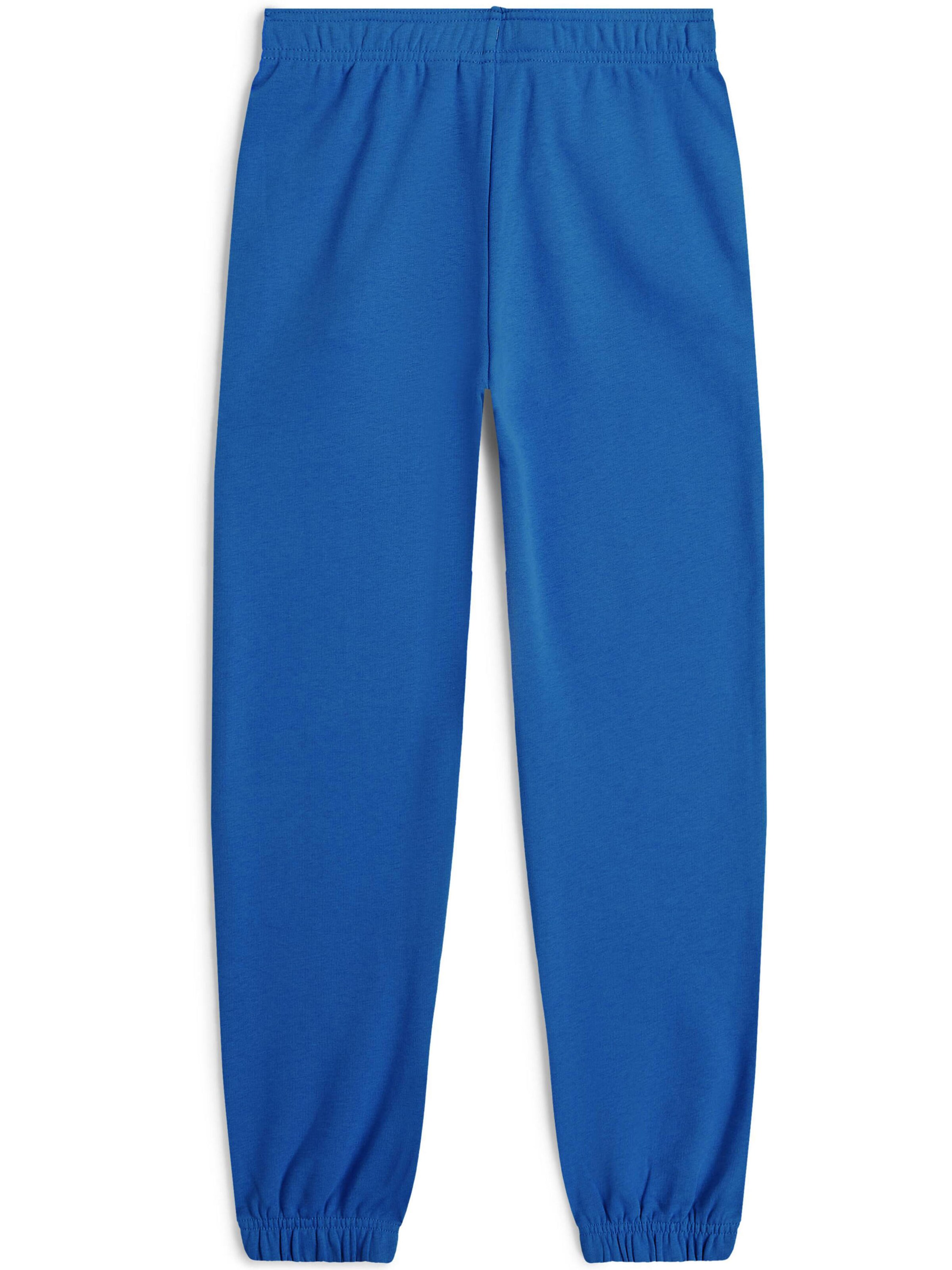 Tapered Pantaloni 'Cali' de la O'NEILL pe albastru