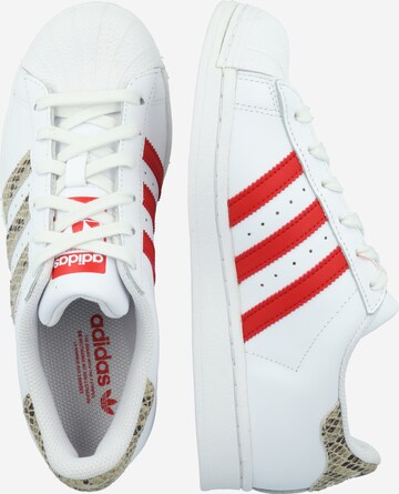 ADIDAS ORIGINALS Sneakers 'Superstar' in White