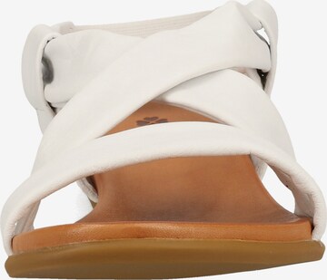 ILC Sandals in White