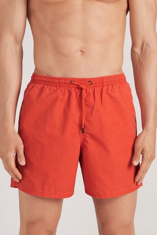 INTIMISSIMI Board Shorts in Orange: front