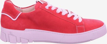 Ganter Lace-Up Shoes in Pink