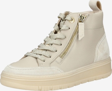 Sneaker alta di Paul Green in beige: frontale