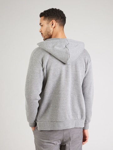 SELECTED - Sudadera con cremallera 'SLHDAN' en gris
