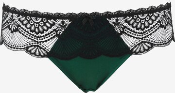 SugarShape Thong 'Pure Divine' in Green: front