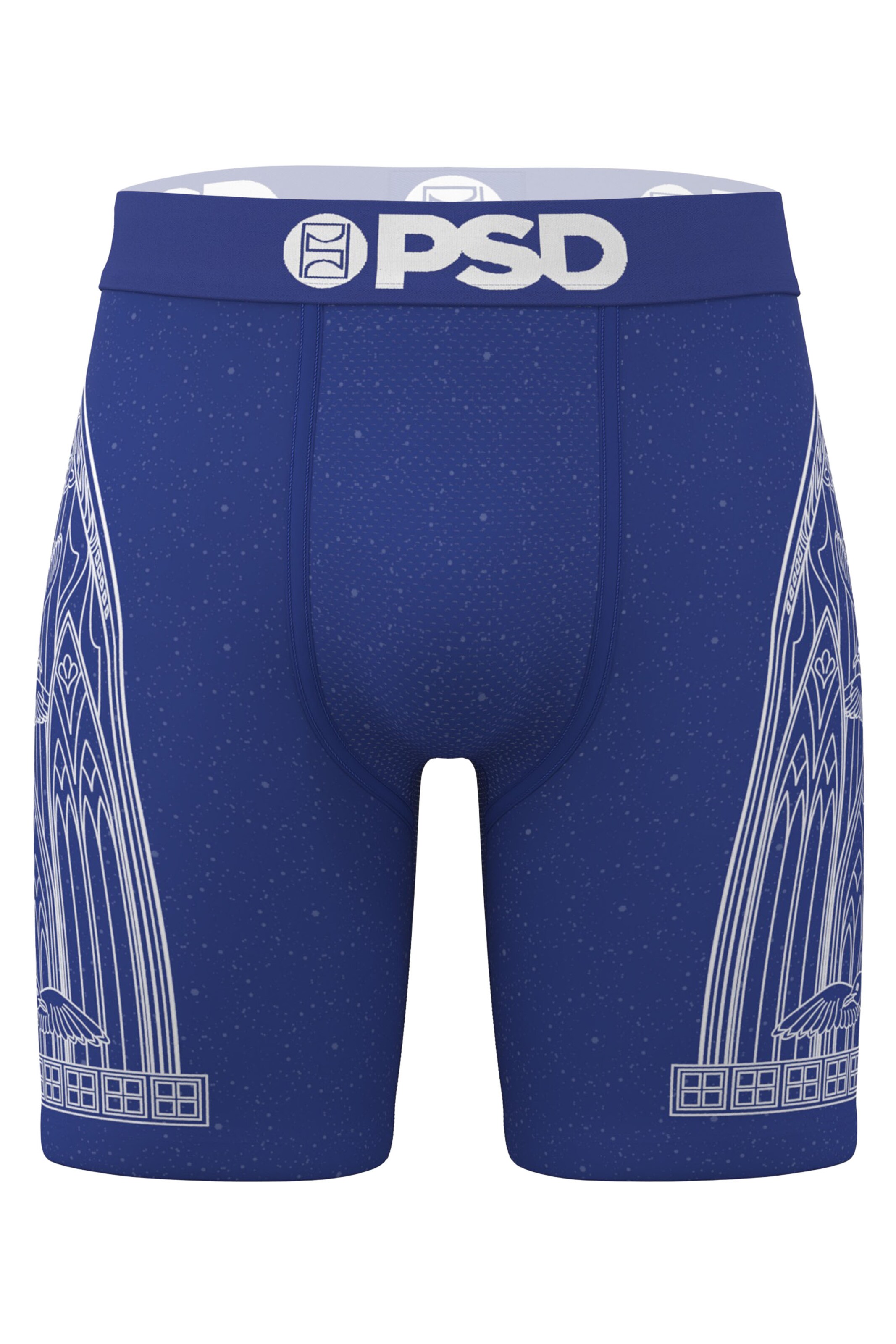 PSD Boxershorts 'Conviction' in Blau: Vorderseite