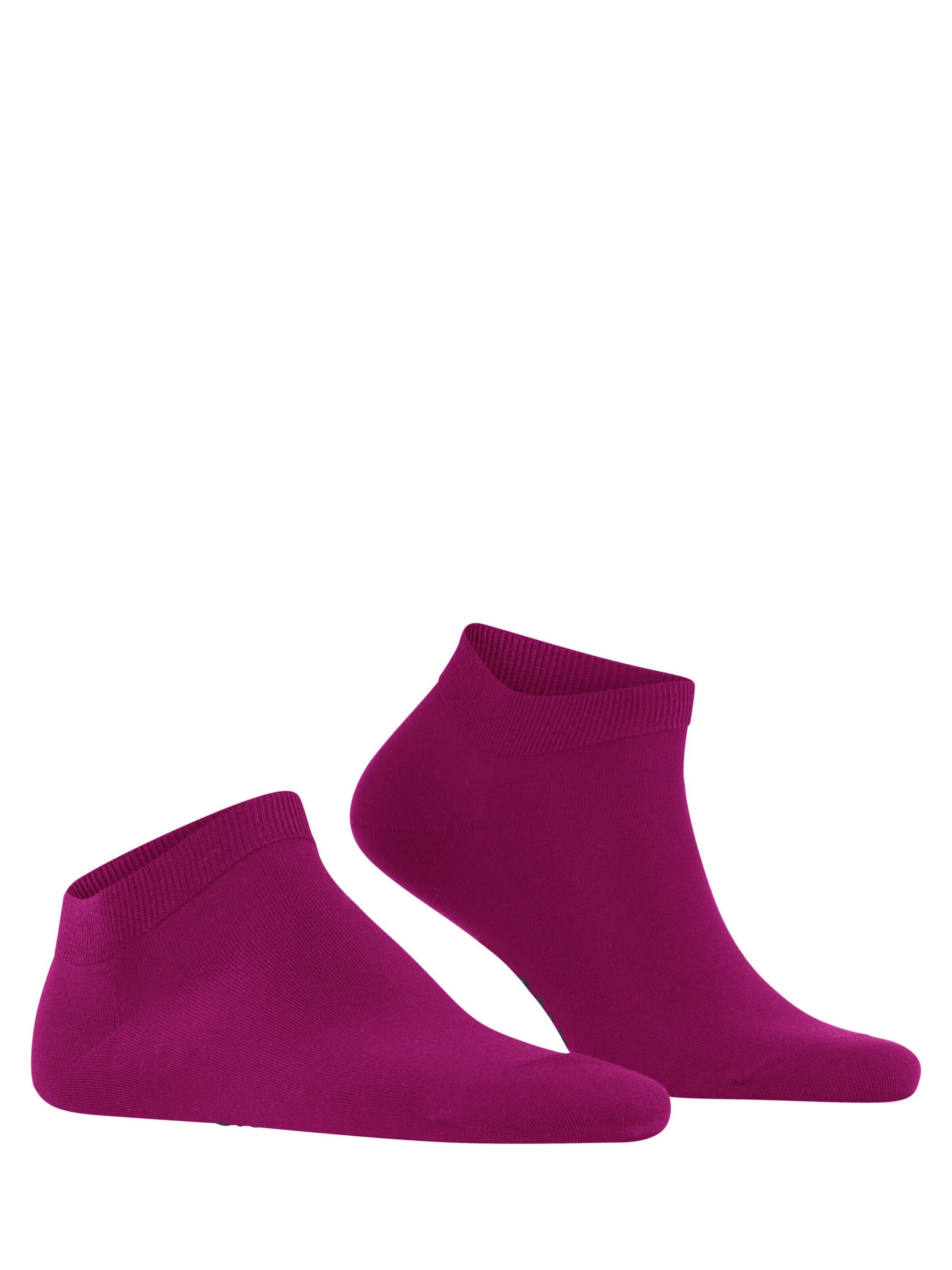 FALKE Socks 'ClimaWool' in Purple