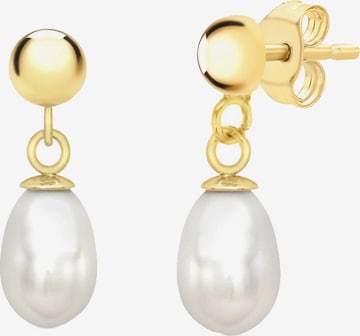 Boucles d'oreilles 'Klassisch' Lucardi en or : devant