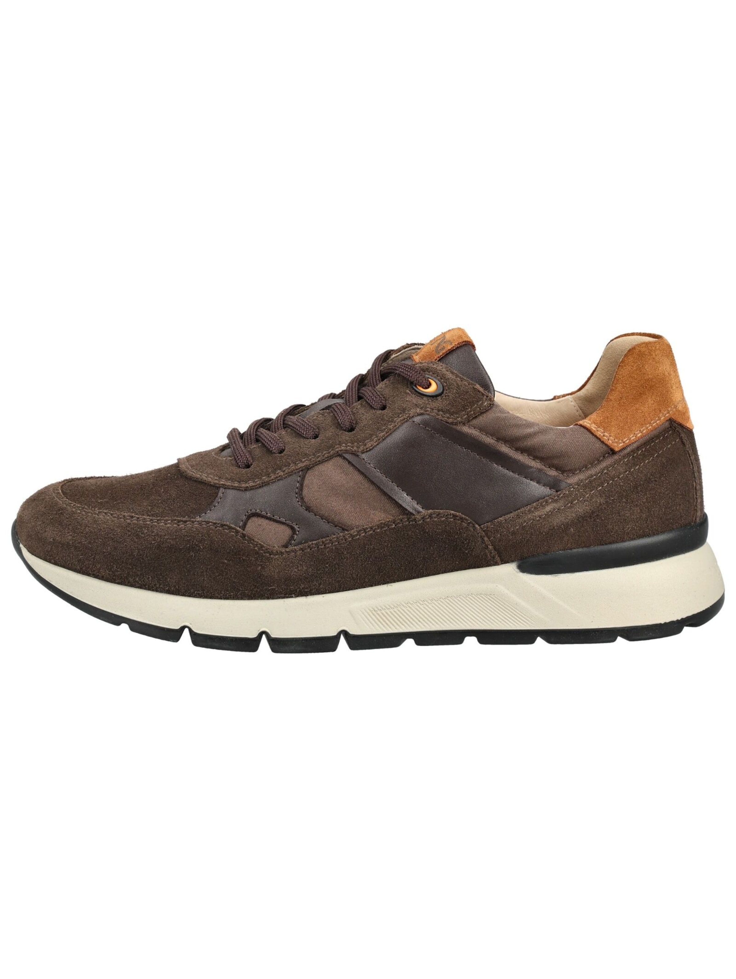 Baskets basses Nero Giardini en marron