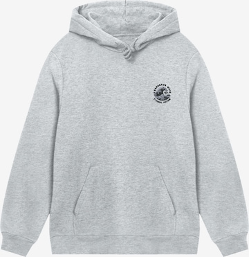 F4NT4STIC Sweatshirt in Grau: Vorderseite