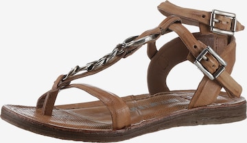 A.S.98 Strap Sandals in Brown: front