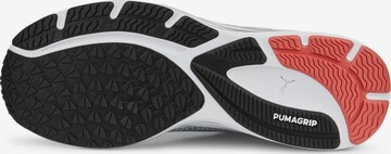 PUMA Спортни обувки 'Velocity Nitro 2' в сиво