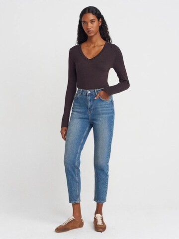 Pullover 'Pullover' di Dilvin in marrone