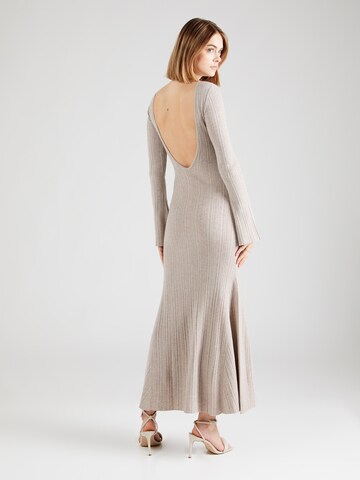millane Knit dress in Brown